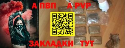 прущие грибы Гатчина