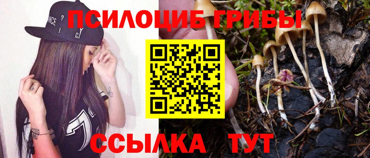 Донецк  Псилоцибиновые грибы прущие грибы  Вход с VPN  Галлюциногенные грибы прущие грибы 
